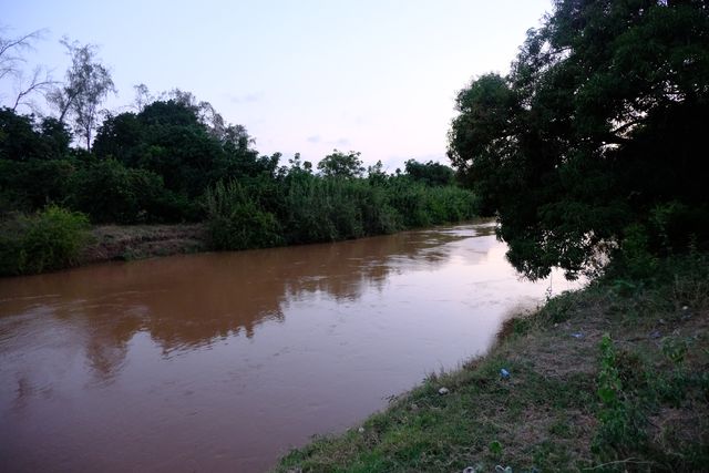 A silt-laden river running brown between green banks at dusk