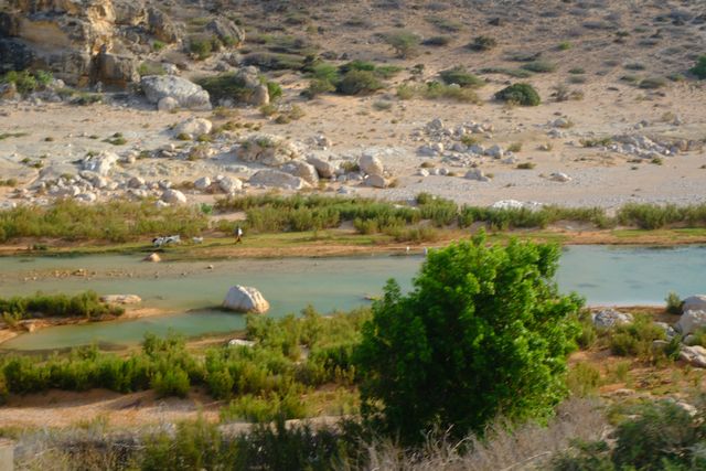 Pools of standing water held in a dry, rocky watercourse with green vegetation along the edges